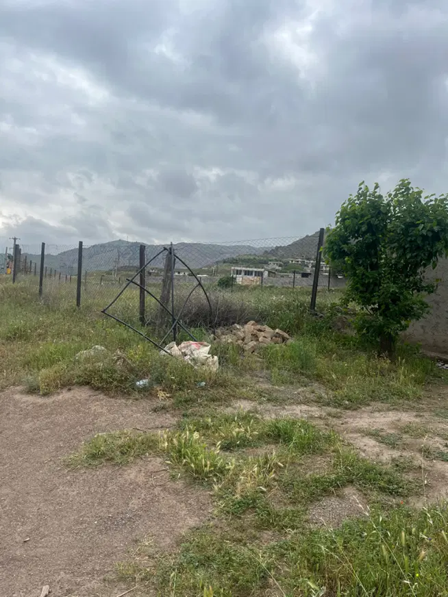 زمین باغی