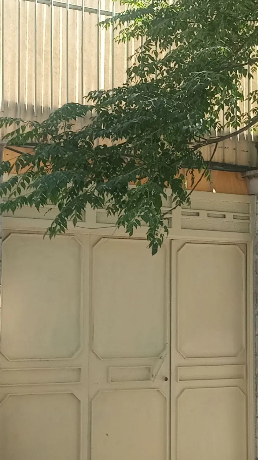 ملک کلنگی خ احدی نازی اباد