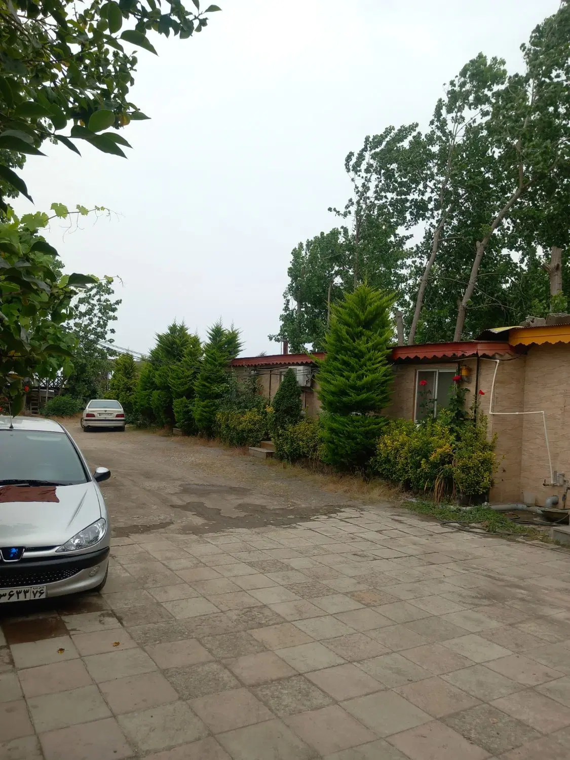 سوئیت ساحلی