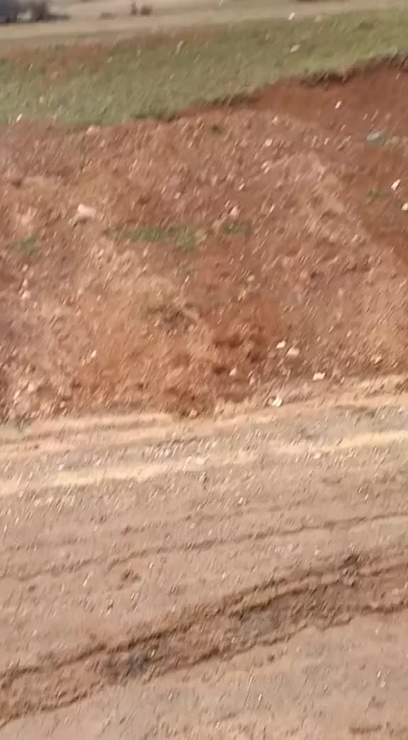 زمین کشاورزی کجور