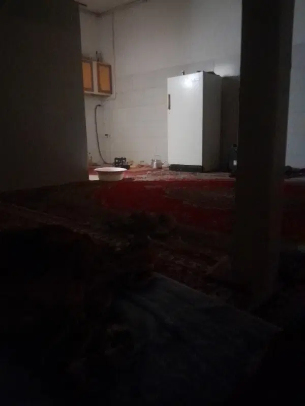 همخونه خانم باشه