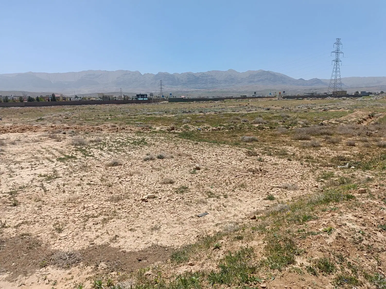 زمین باغشهری زیتون گویم