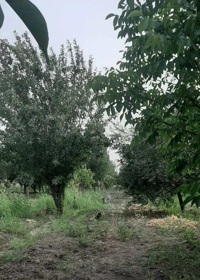 ۵۰۰ متر زمین