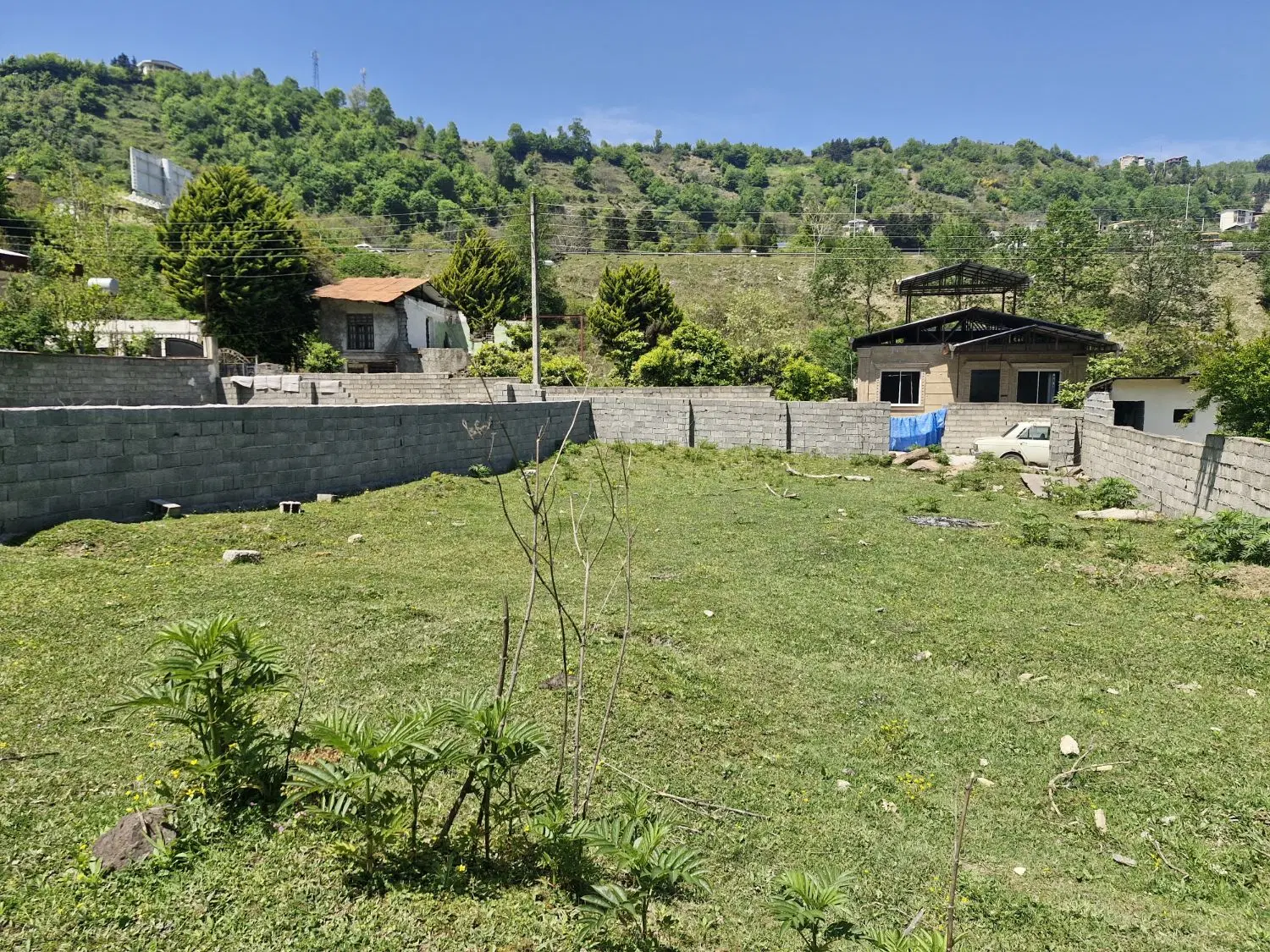 ۲۵۰ متر زمین در شهرک جنگلی فین