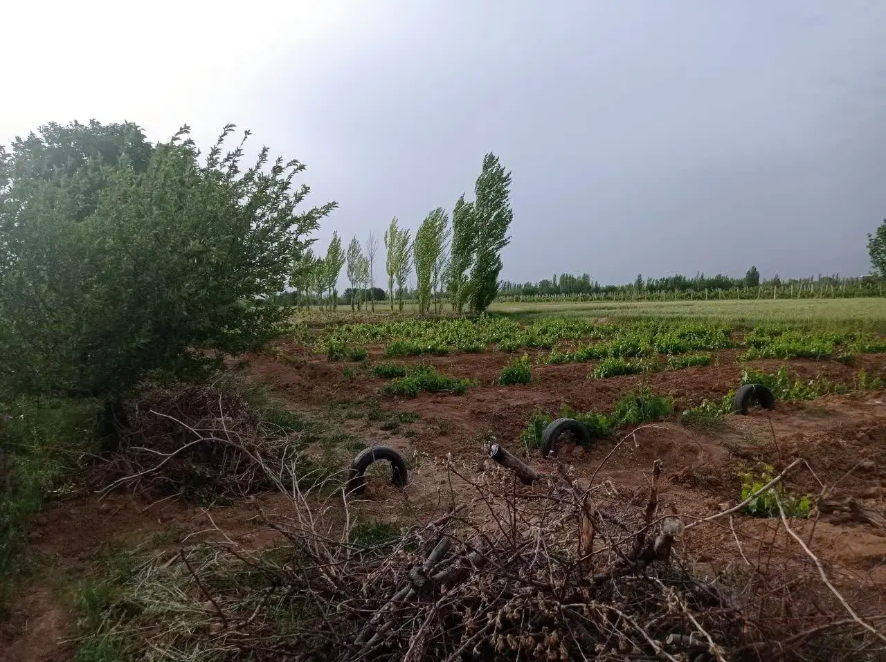 باغ در جاده توریستی و با صفای سوکهریز
