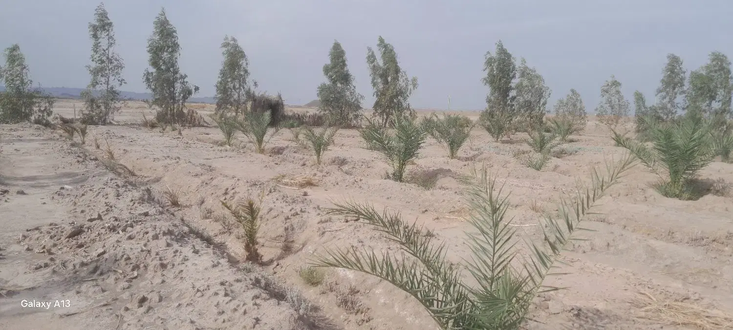 فروش ملک
