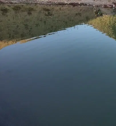 زمین مزروعی ۵۰۰ متر تک برگ سند