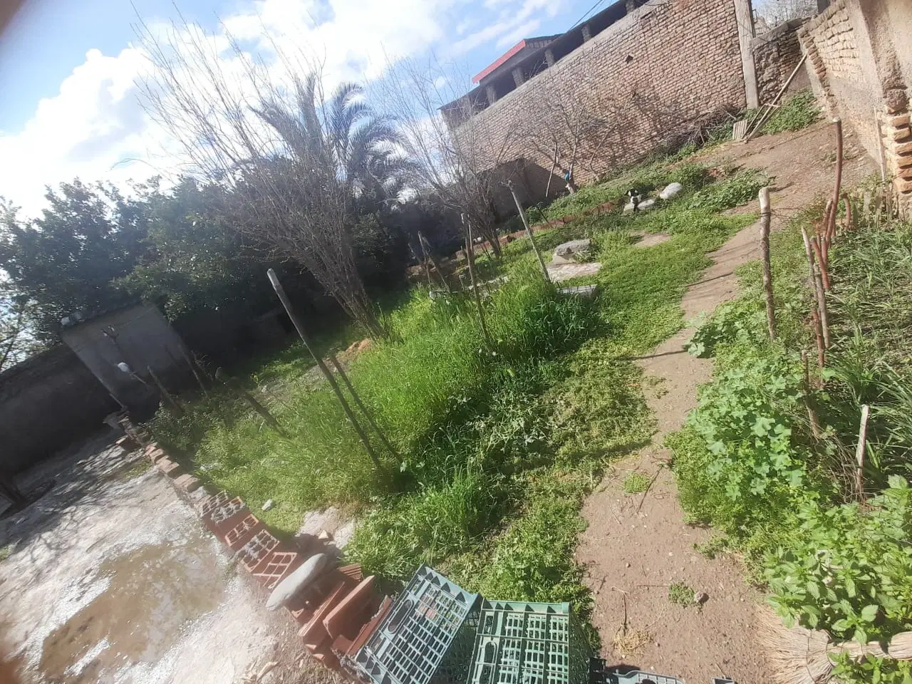 زمین تجاری مسکونی  ۹۲ متر