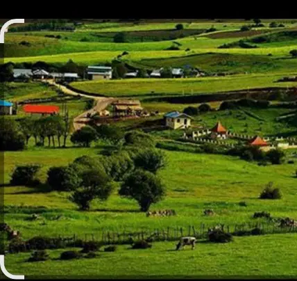 معاوضه با خونه