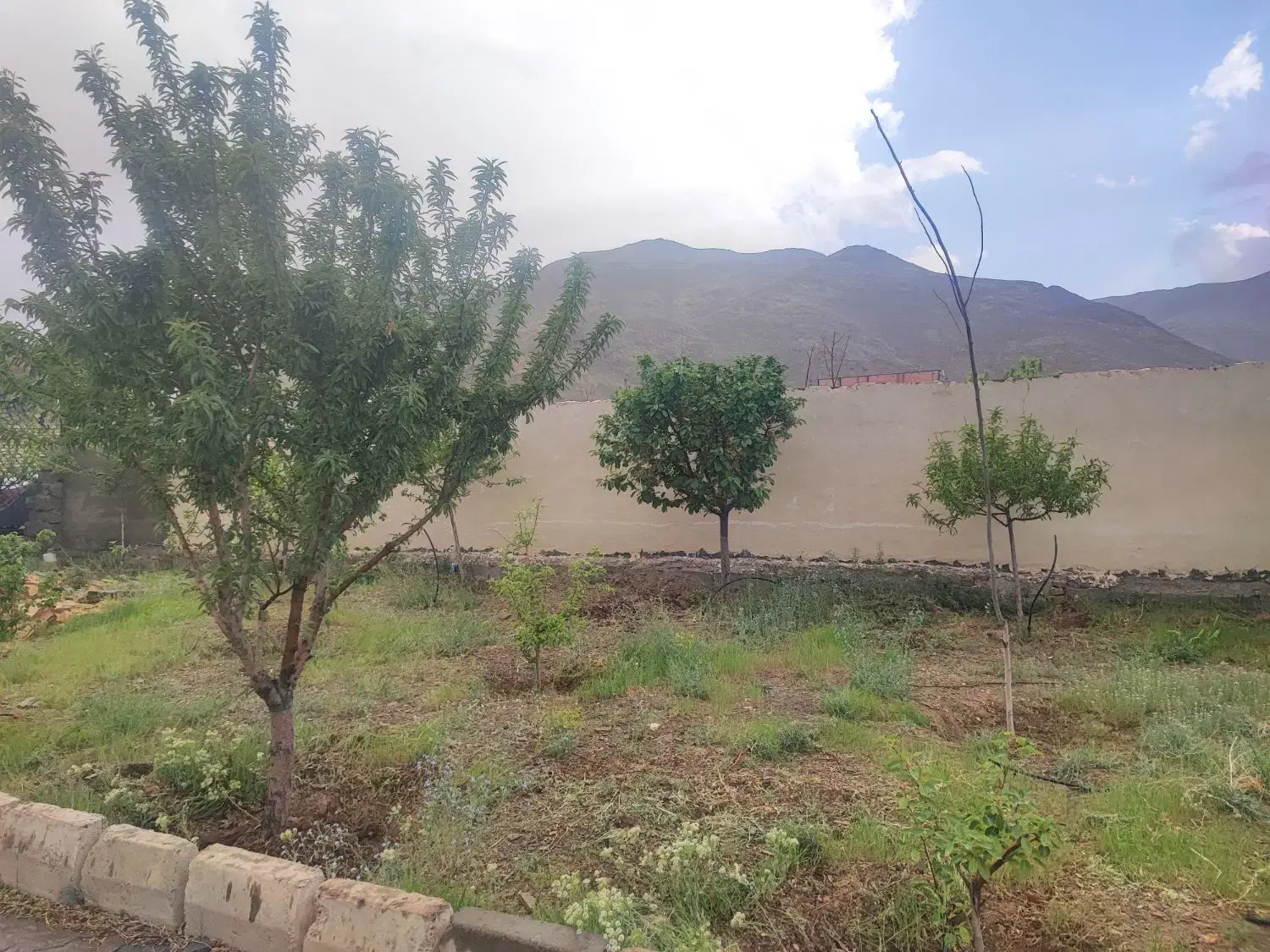 450متر چهار دیواری مجوز دار