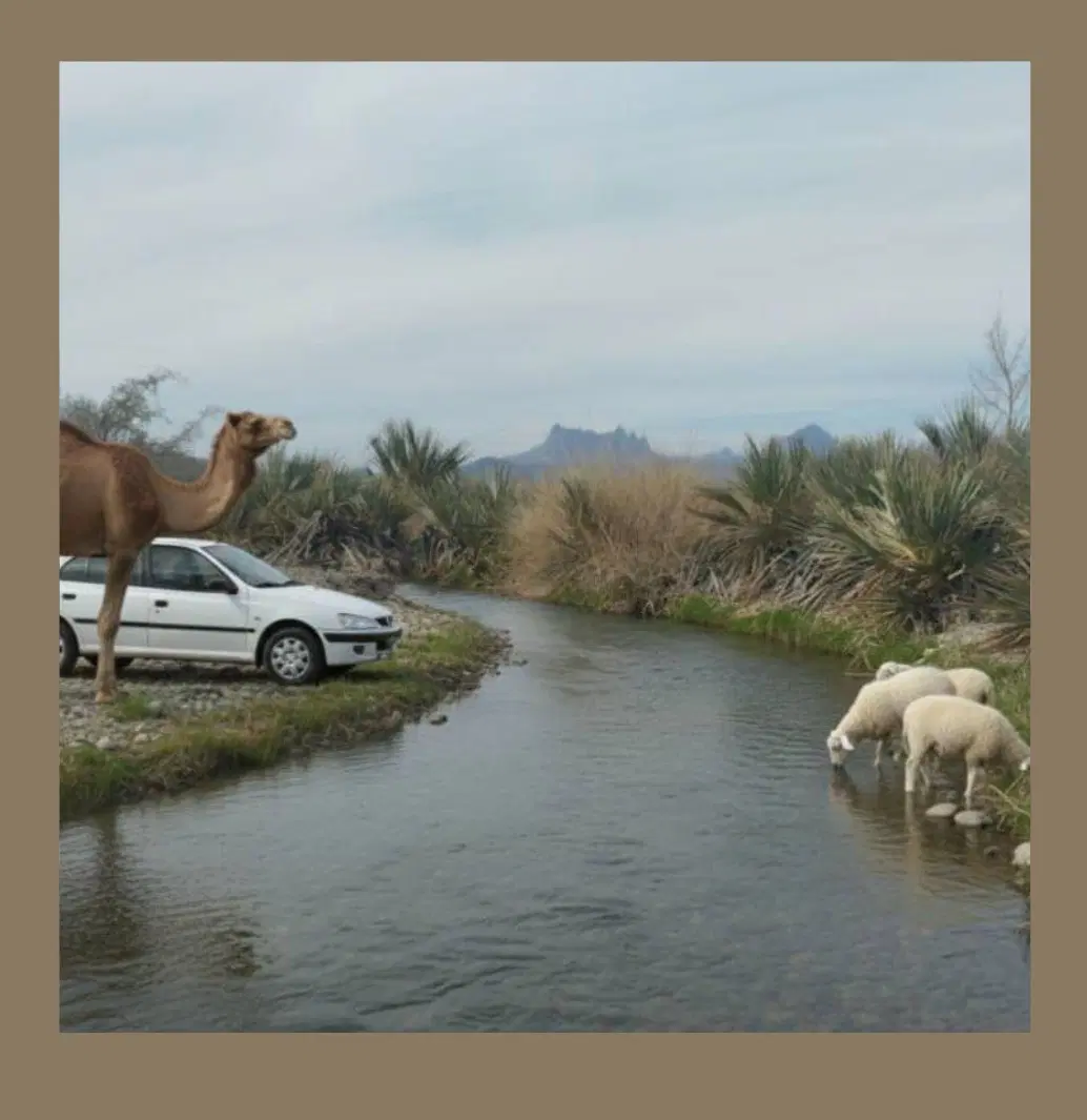 فروش زمین