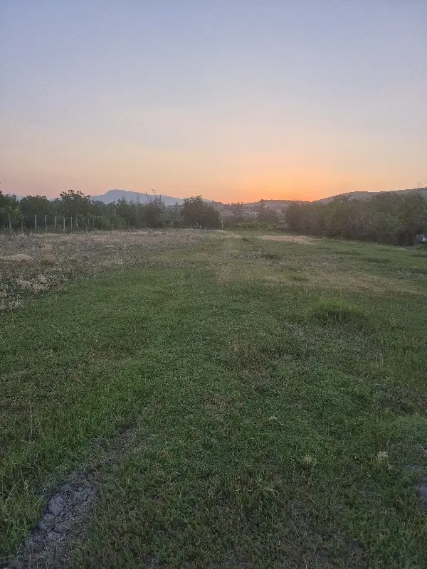 زمین کشاورزی