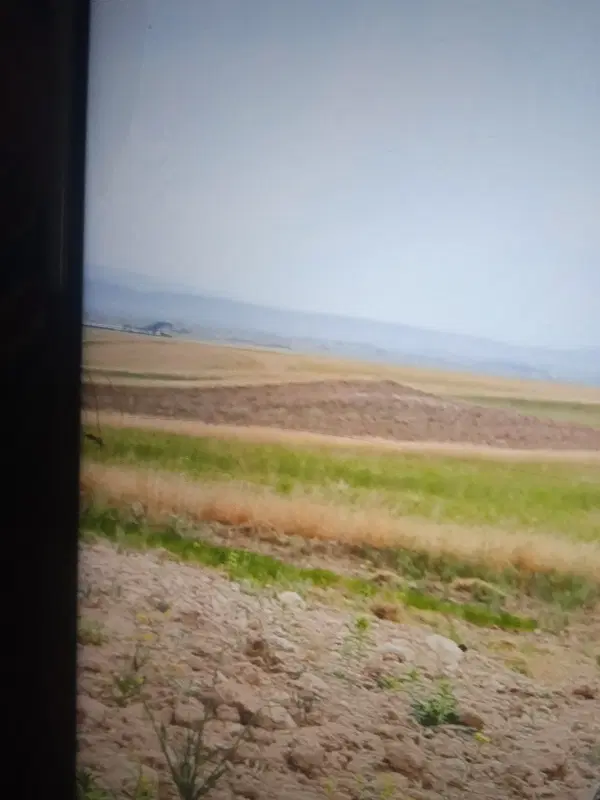 زمین کشاورزی