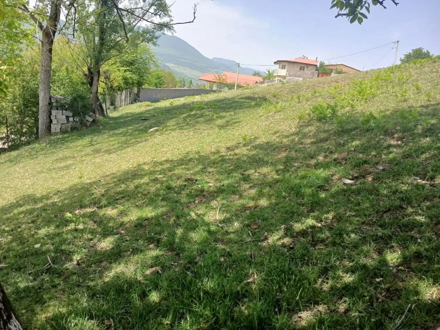 زمین