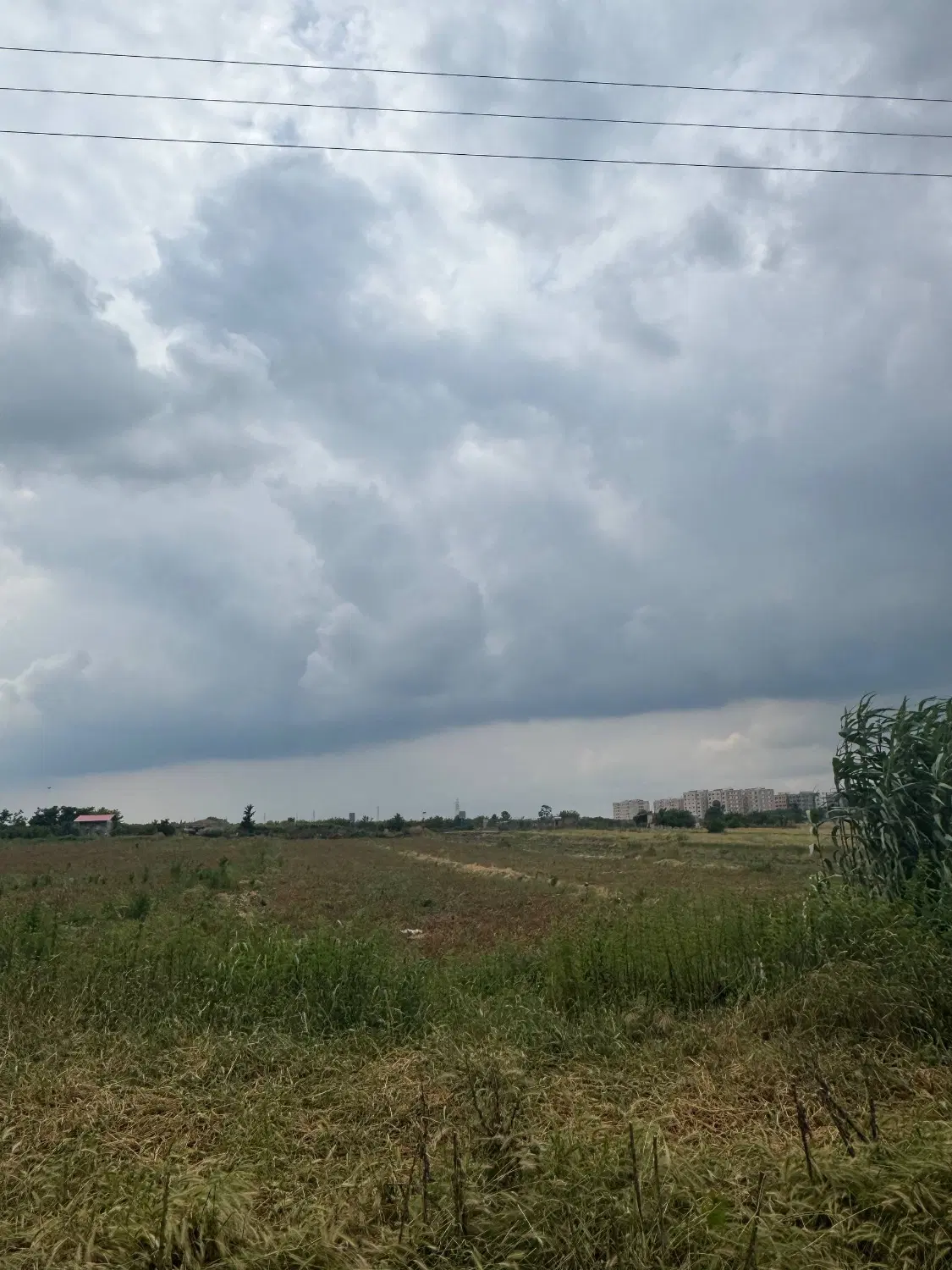 زمین ۲۰۰متری در خیابان خلیج