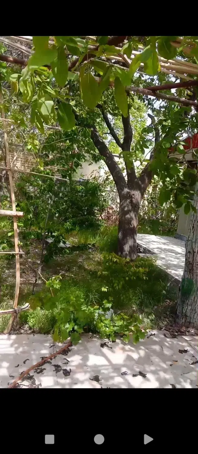 ویلایی دهبکری