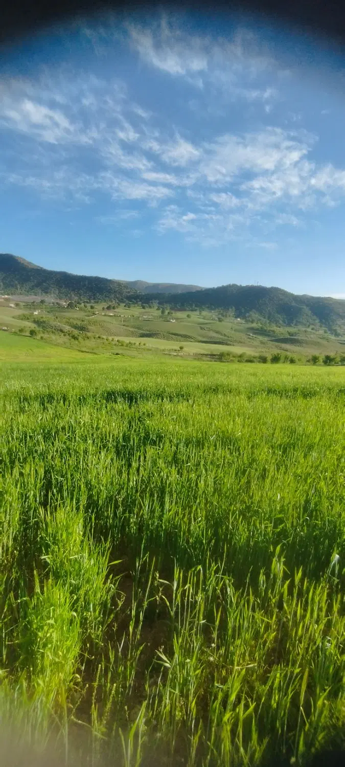 سلام یه قطعه زمین در روستای فیروزاباد