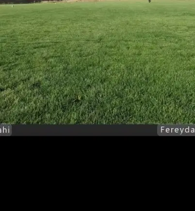 زمین فرو‌شی در روستای عور