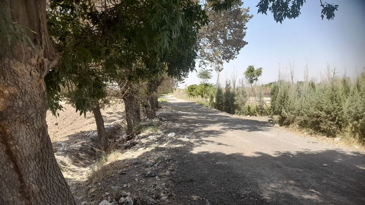 زمین برای باغچه