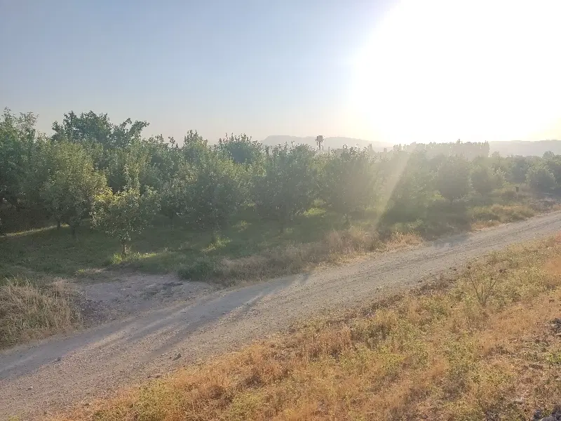باغچه ۷۰۰ متری واقع در مقدم بر راه آهن