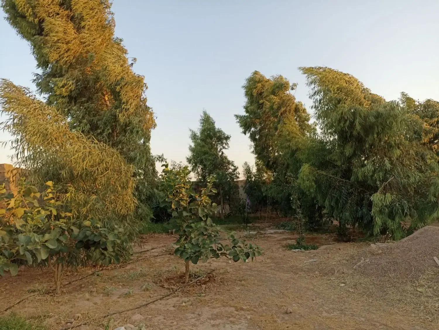 زمین مسکونی