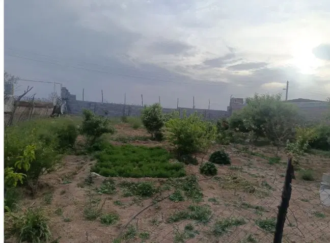 خانه باغ فروشی در دوچاهی