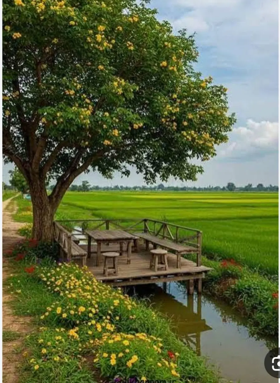 زمین بالای خیابان دکتر