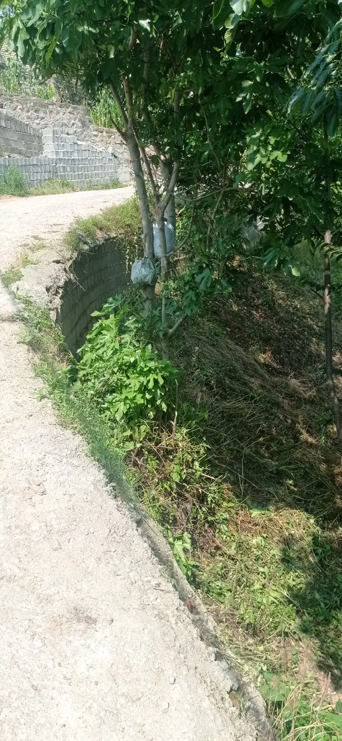 زمین ۲۶۳ متر با سند تک برگ