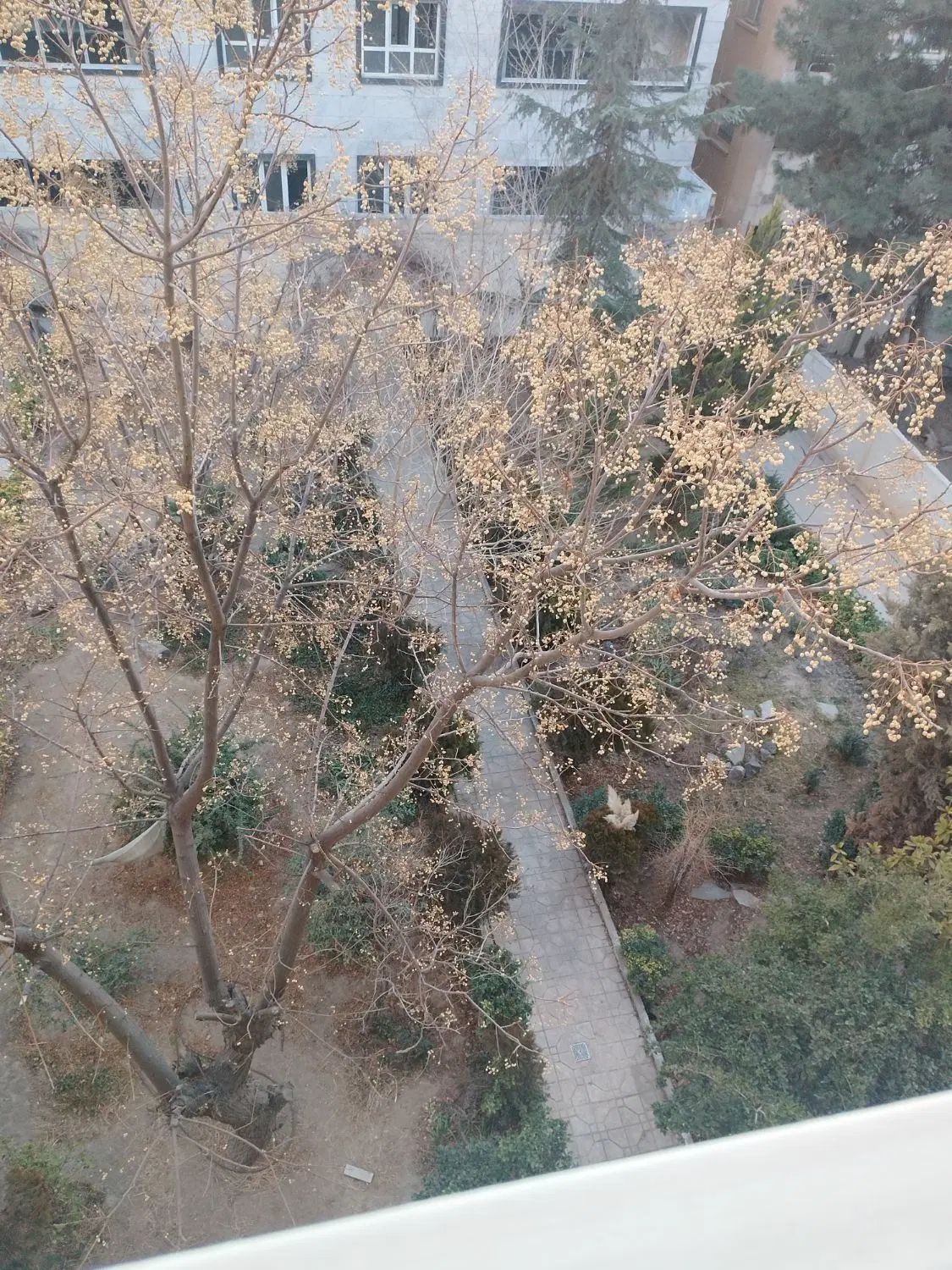 آپارتمان
