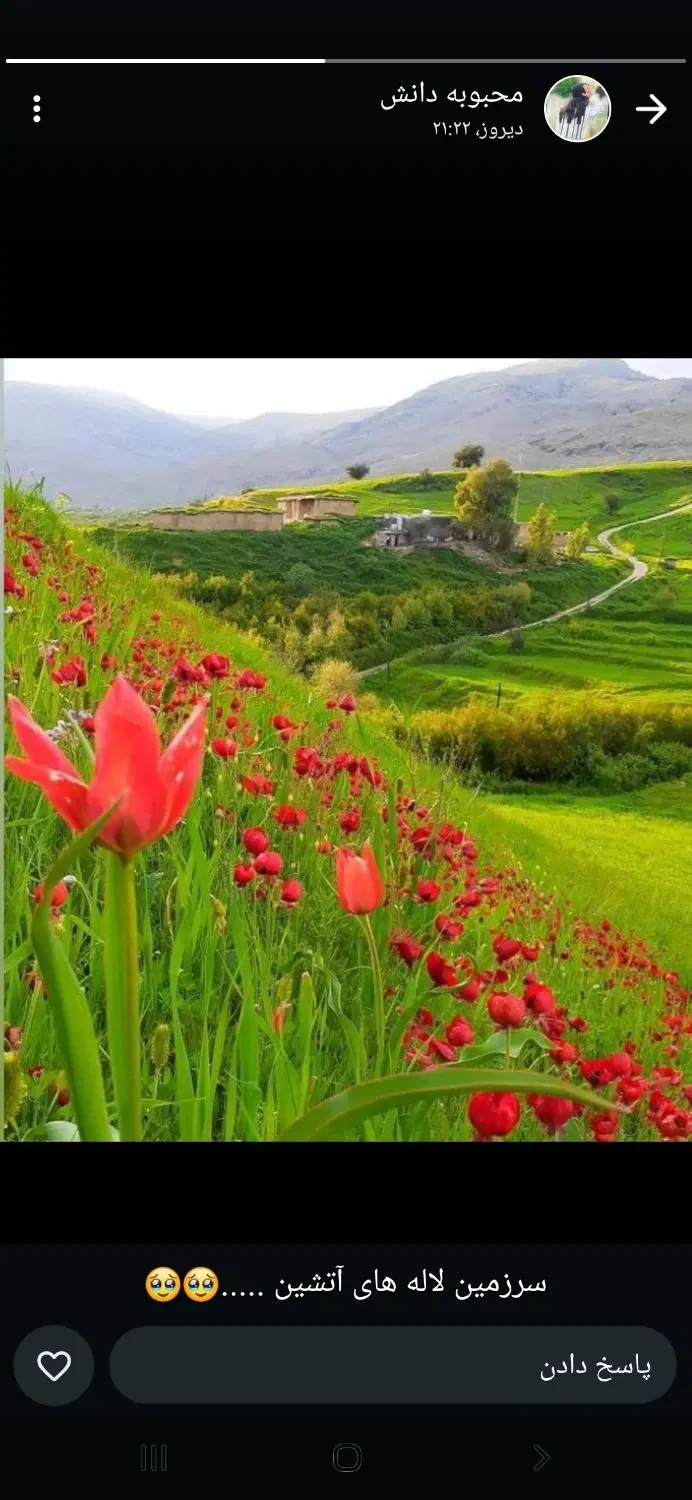 ۲۳۰۰متر زمین مخصوص کشاورزی ،رهن و فروش داده میشود