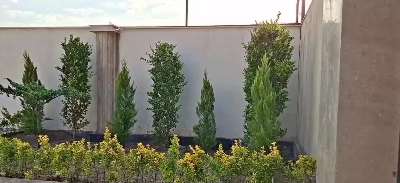 فروش ۸۵۰ متر باغچه در محمدشهر