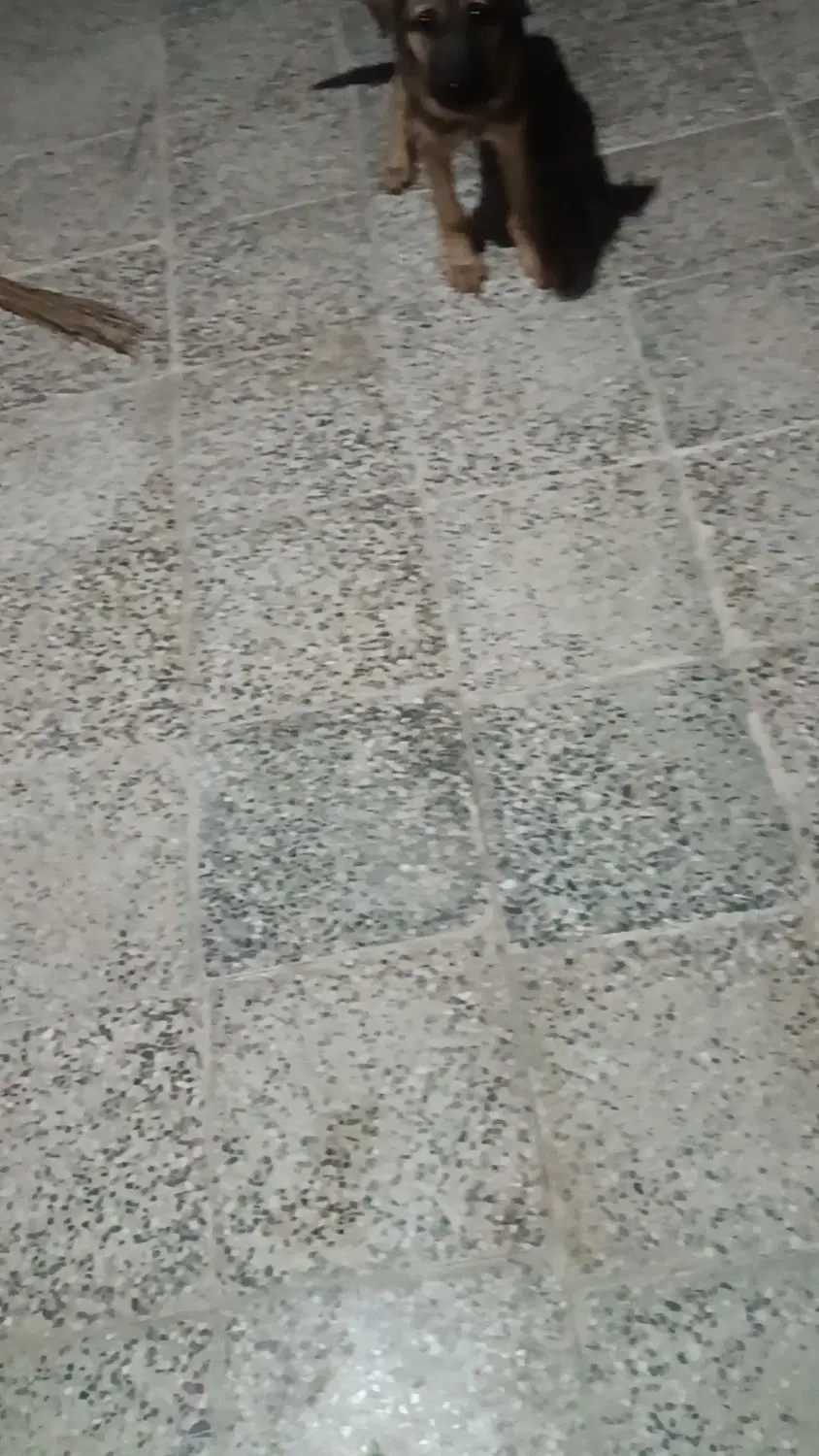 یک اتاق اجاره بهشتی چهار