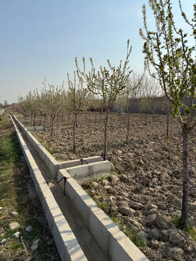 باغچه ویلایی در قلعه فرامرز خوشنام