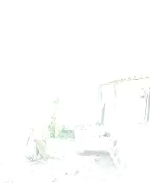 ۱۷۵متر زمین مسکونی به همراه یک سوئیت ۳۶ متری