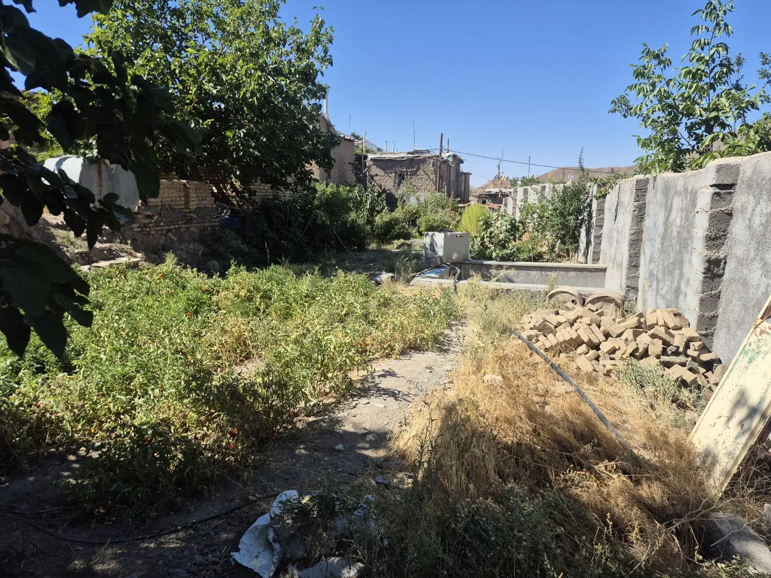سبزوار روستای طبس