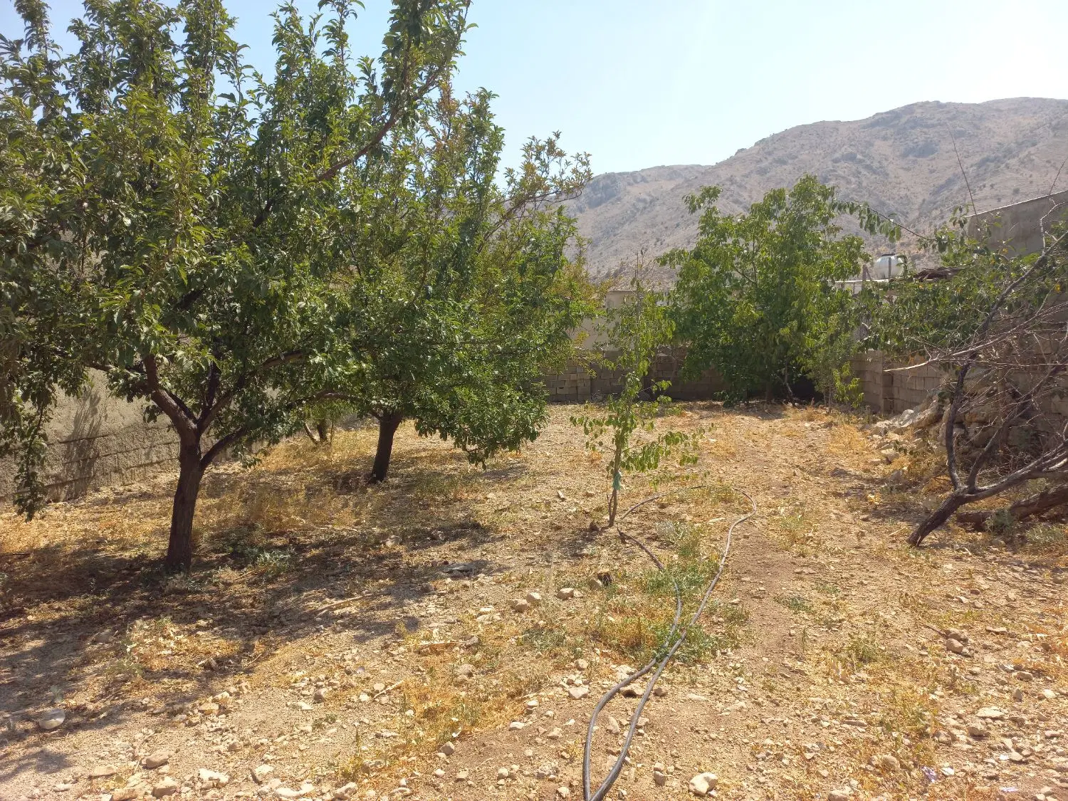 زمین مسکونی منصورآباد دشتروم