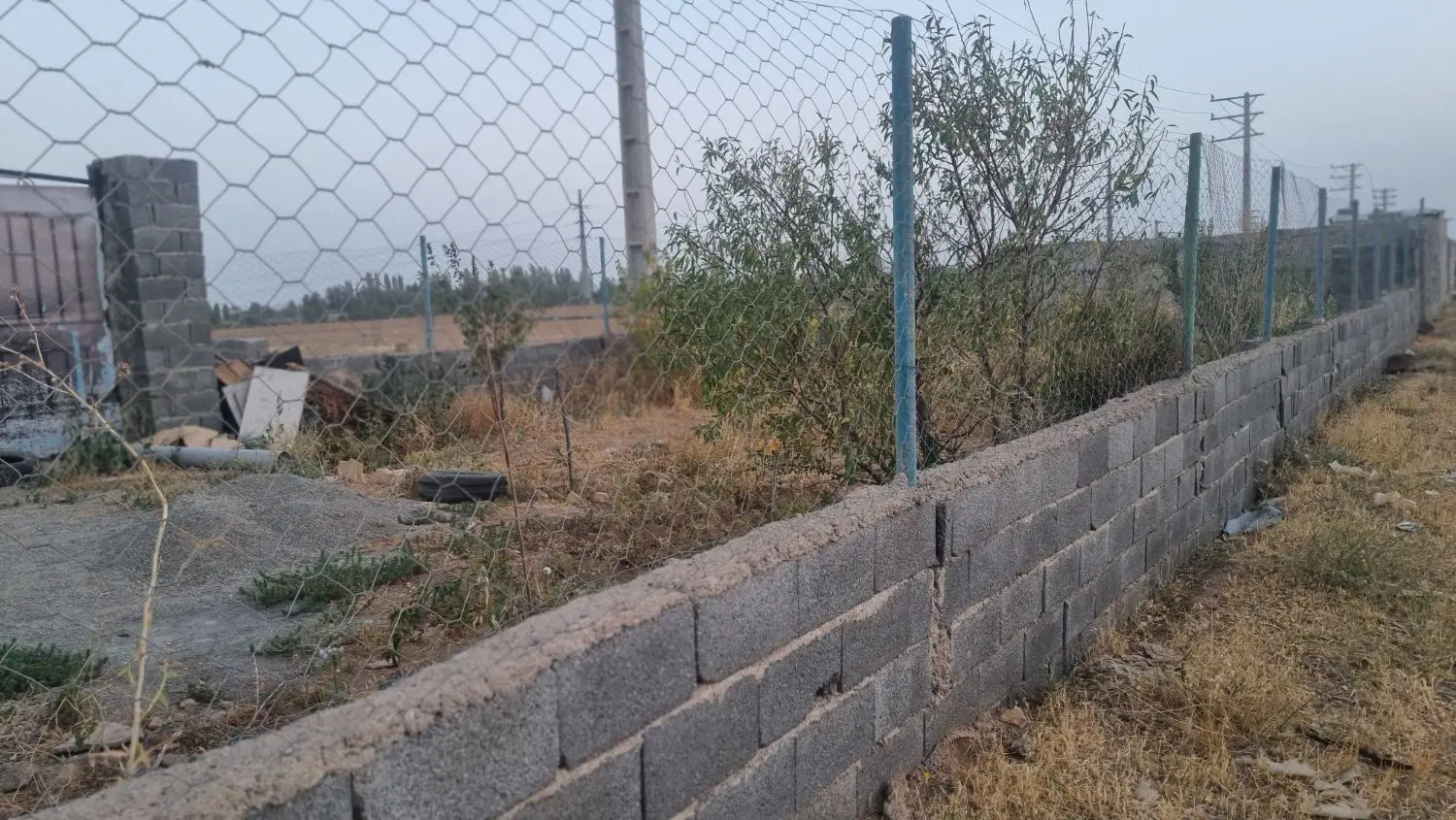 باغچه کردان بانو صحرا