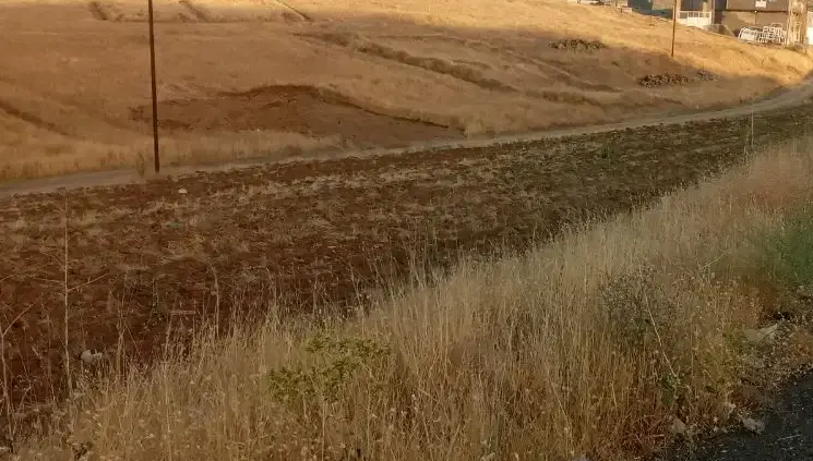 زمین سورازه