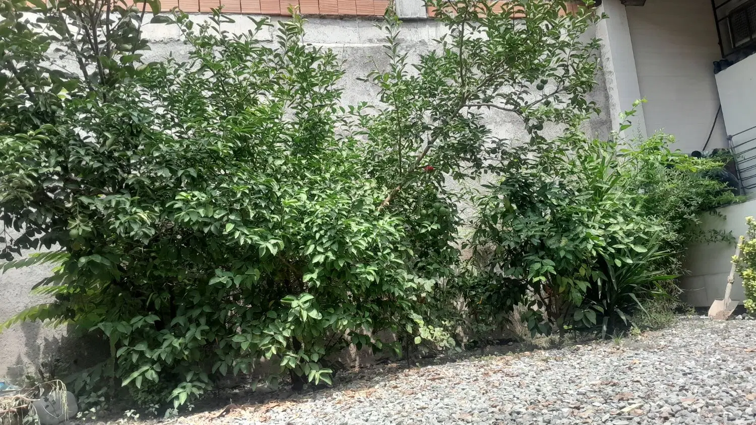 خانه ویلایی