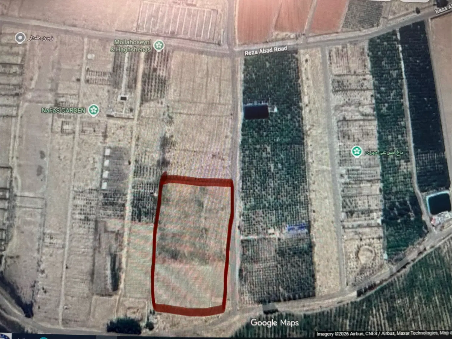 باغ زمین کشاورزی گلخانه