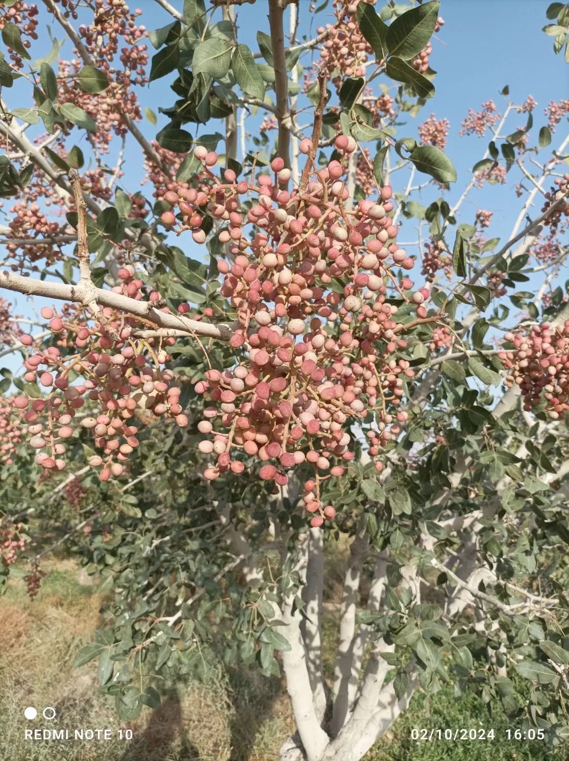 زمین فروشی