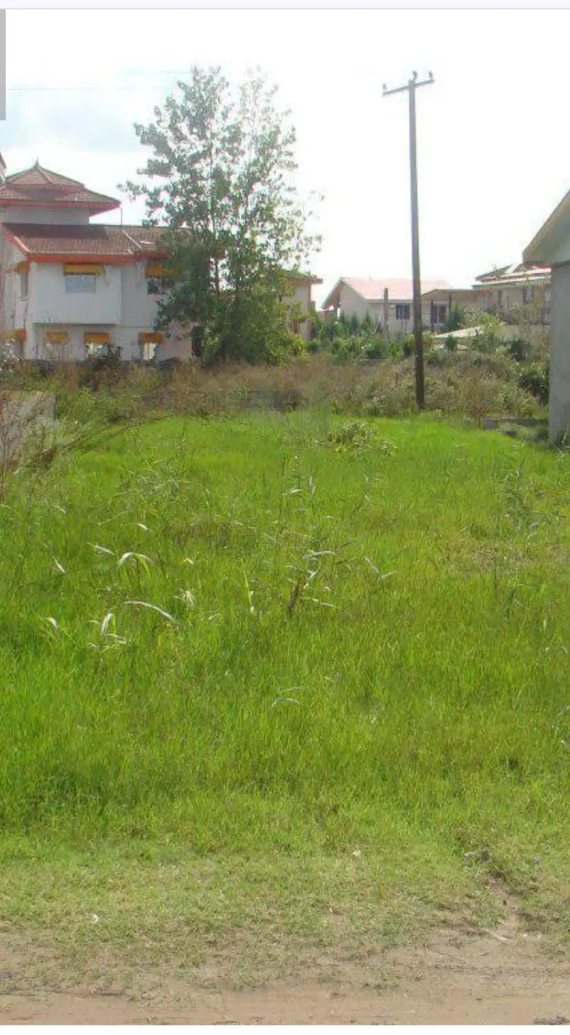 زمین
