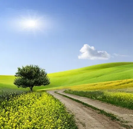 فروش زمین ۱۶۲ متری محمود آباد