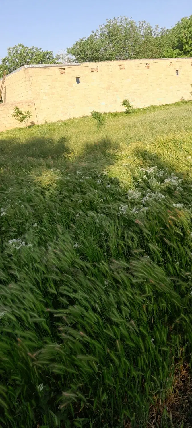 باغ کشاورزی