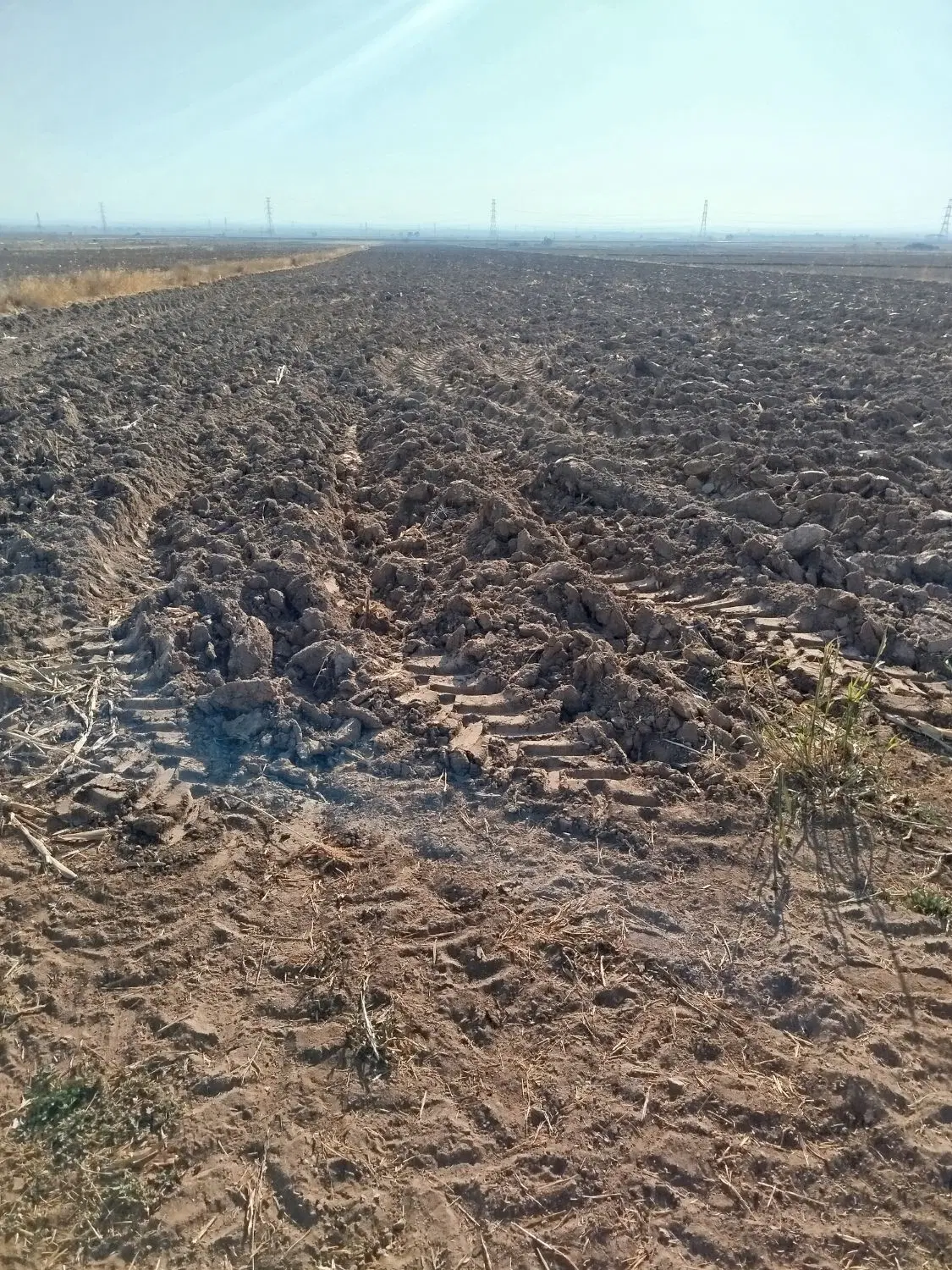 زمین کشاورزی ،سهمیه آب از چاه و کانال، گلخانه
