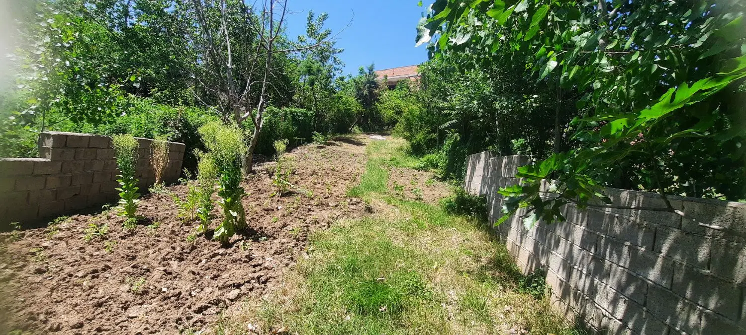 زمین مسکونی داخل بافت روستای تخت مینودشت
