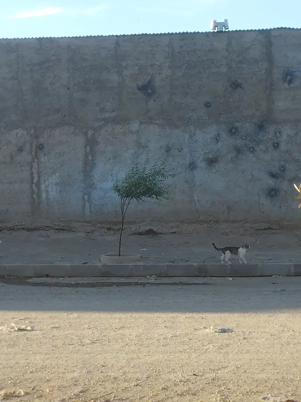 زمین شهرک علوی خیابان فاطمه زهرا