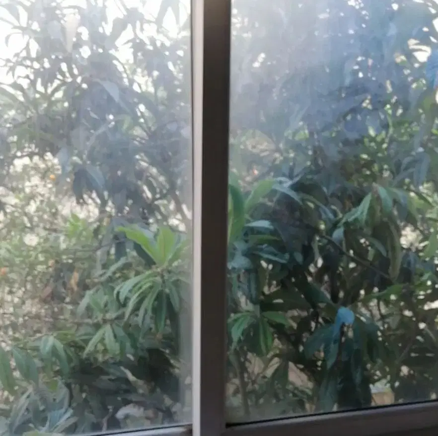 دو خواب 122 متر تک واحدی جمهوری