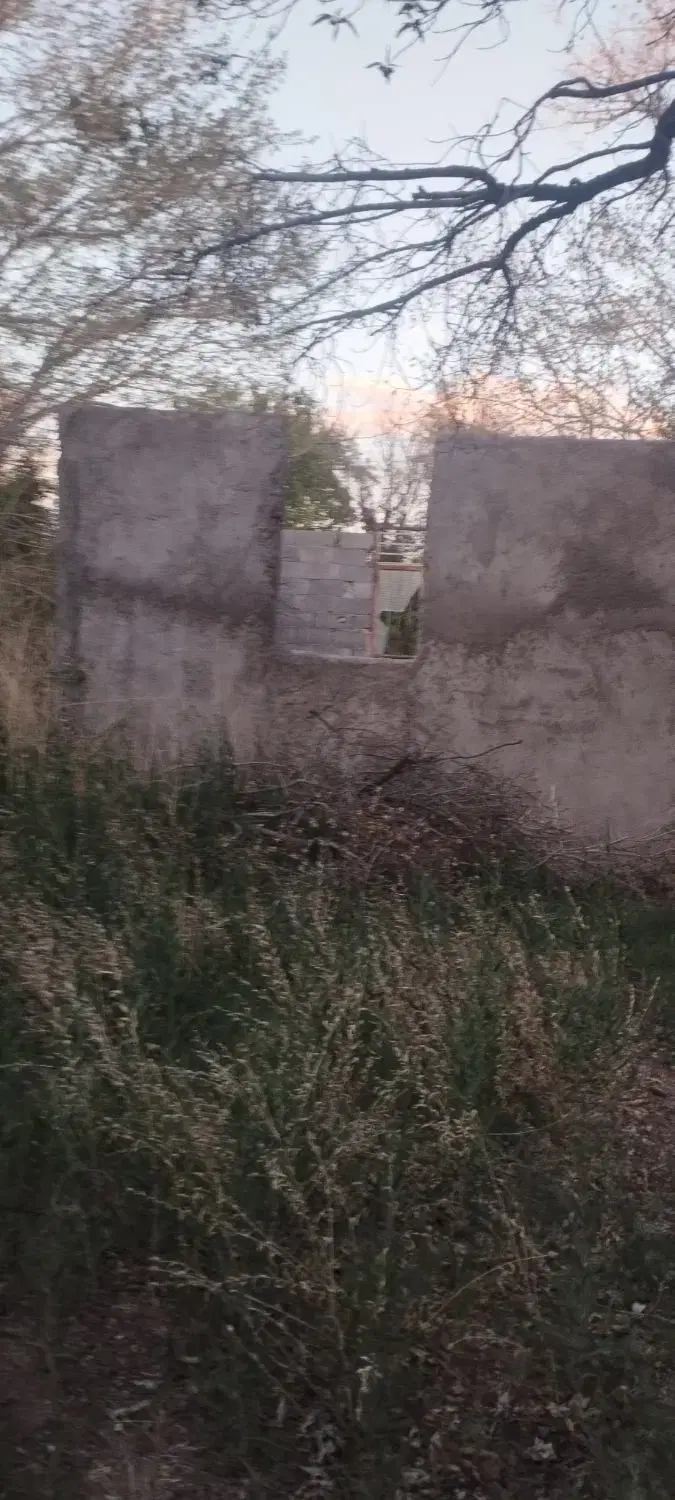 باغ سرسبز 1000متری در سرو ارنان