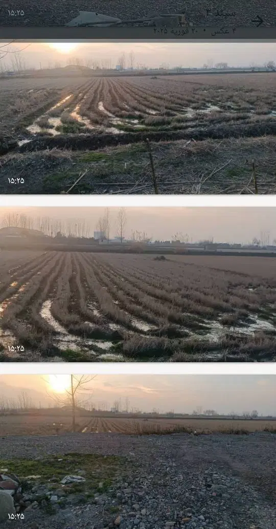 زمین کشاورزی کلوده